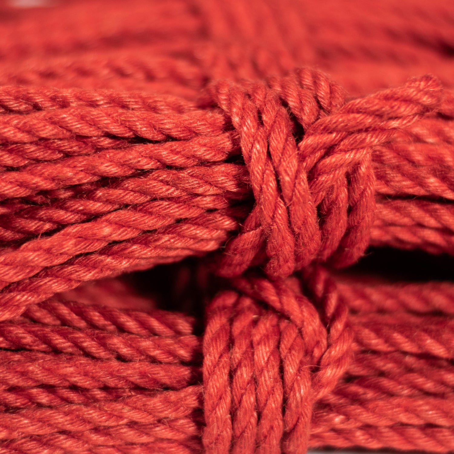 Anatomie Rope Shop – Anatomie Shop