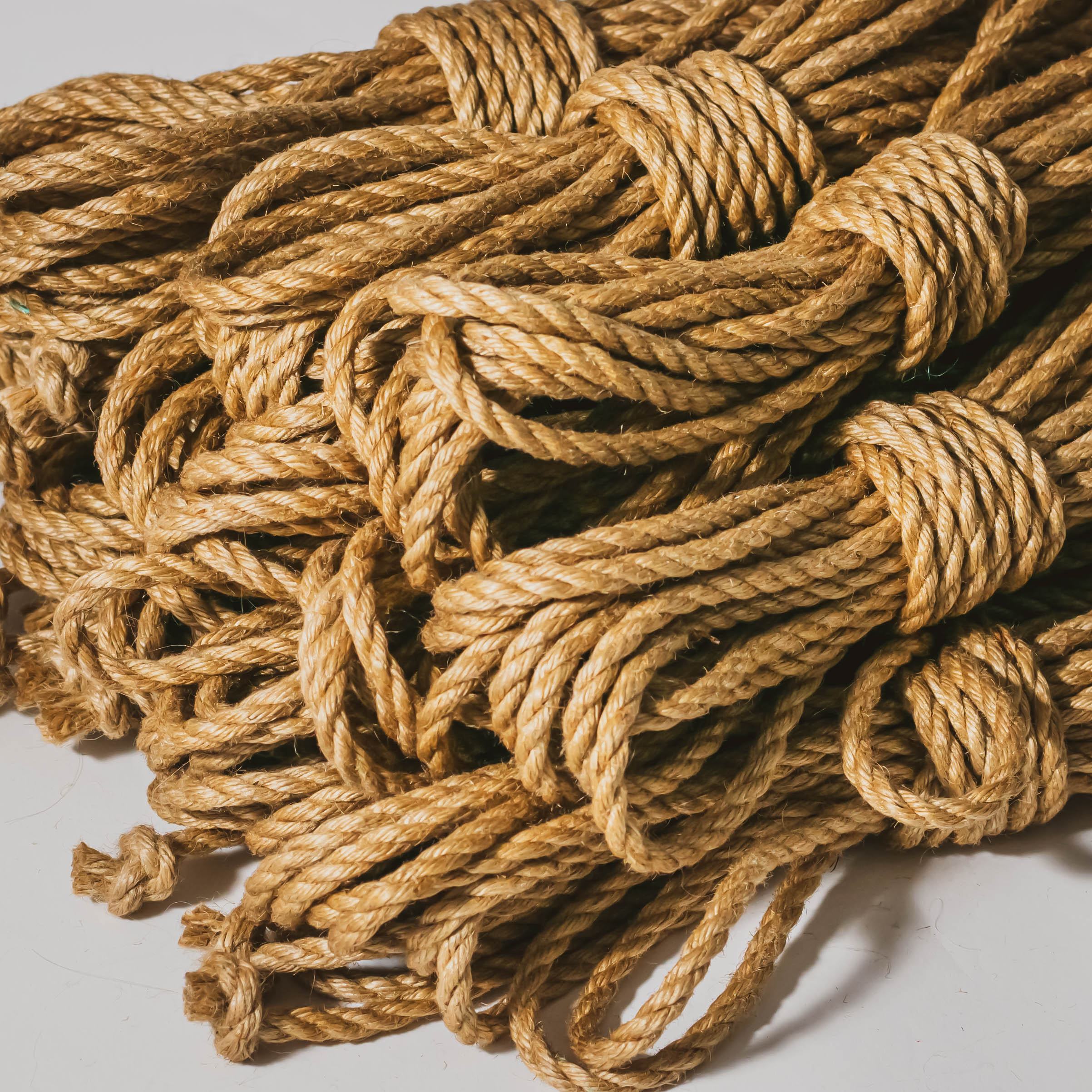 Anatomie Rope Shop